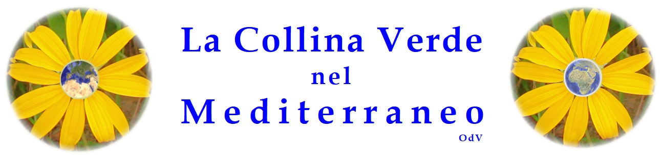 lacollinaverde.org